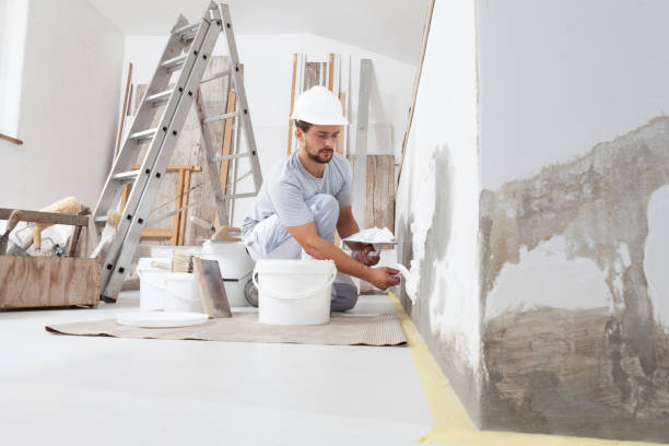 Best Residential Painting  in Sibley, LA